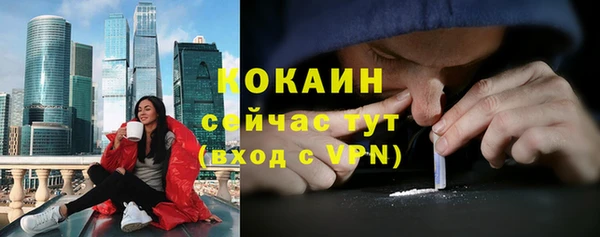 амф Пестово