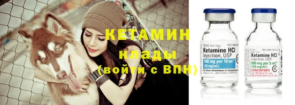 амф Пестово