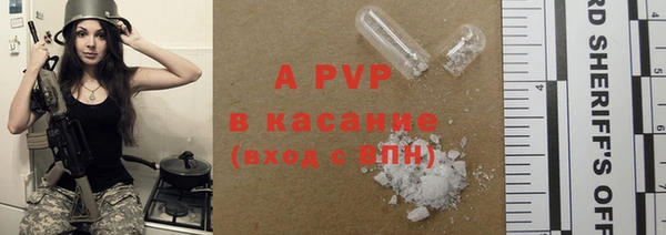 молекула духа Переславль-Залесский