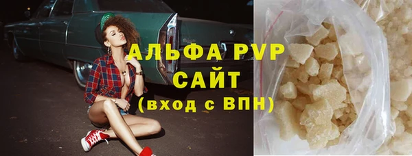 эйфоретик Пересвет