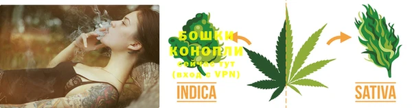 амф Пестово