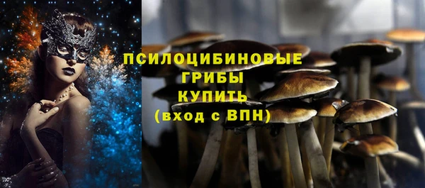 эйфоретик Пересвет