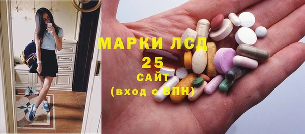 амф Пестово