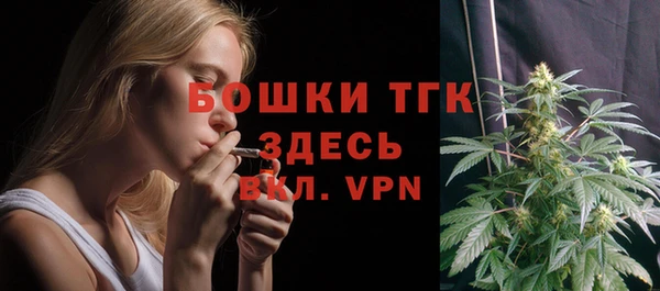 молекула духа Переславль-Залесский