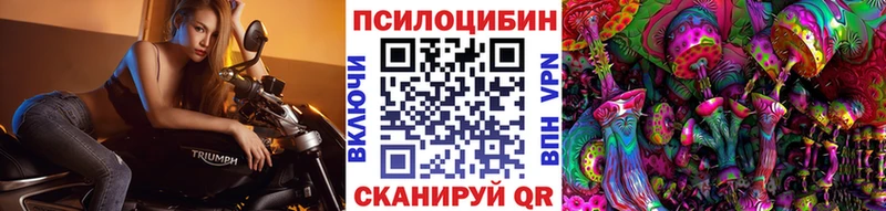 Псилоцибиновые грибы ЛСД  shop Telegram  Кораблино 